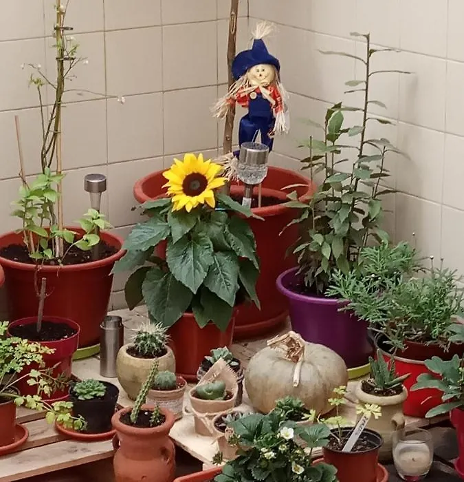 Como En Casa-1