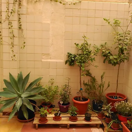 Como En Casa-2
